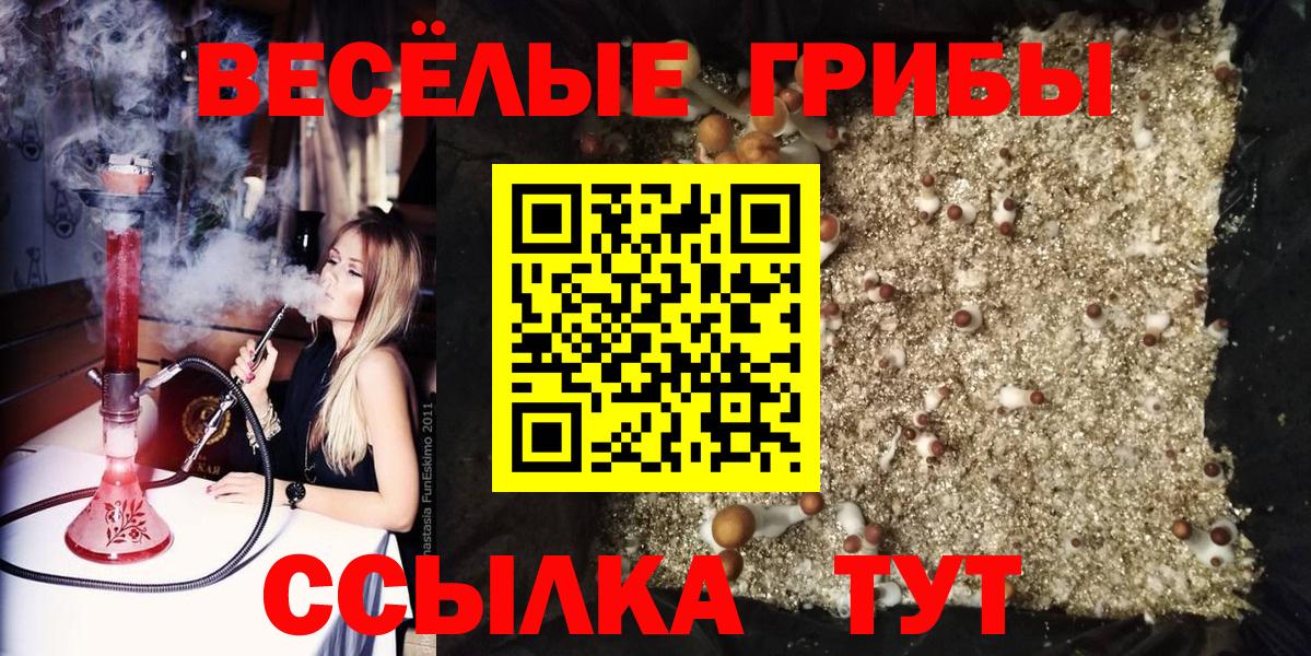 Псилоцибиновые грибы Psilocybine cubensis  Вход с VPN  Губкин 