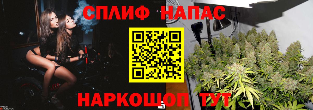 Каннабис планчик  Канабис сатива  Губкин  Вход с VPN  Канабис Amnesia  Конопля AK-47 