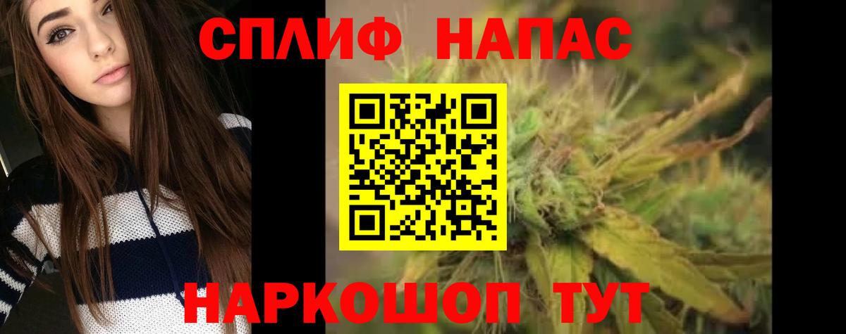 Канабис гибрид Губкин